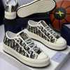 Christian Dior Luxury Sneakers