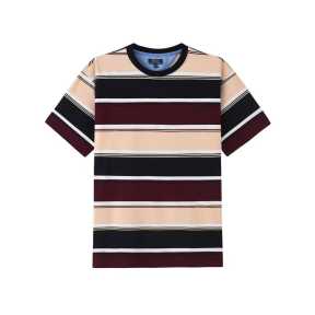 Prl Stripe Round Neck T-Shirt