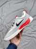 Nike SB Ny jah Free 2 Neutral Grey